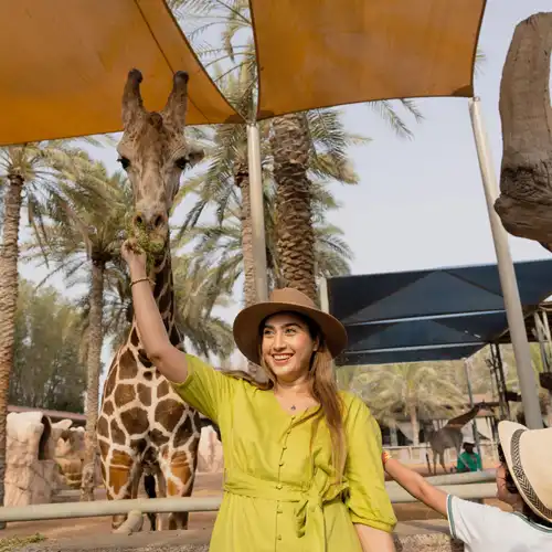 emirates park zoo Girl