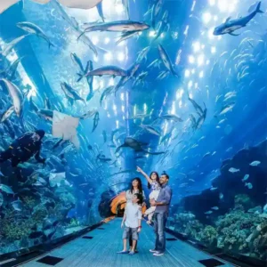 Underwater Zoo