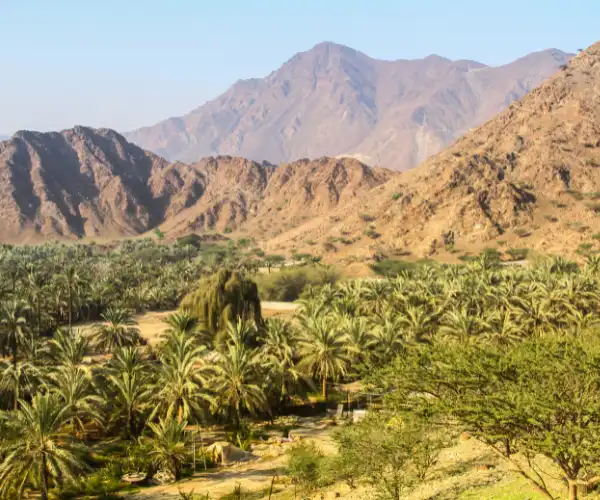 Things To Do In United Arab Emirates The Seven Emirates Fujairah