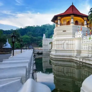 Temple of the Tooth Cover