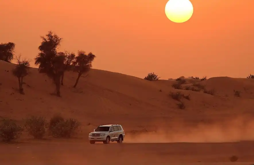 dubai desert safari, sunset safari