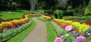 Peradeniya Botanical Garden 4