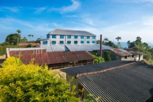 Tea Factory In Nuwara Eliya