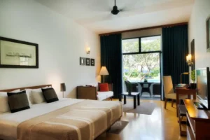 The Blue Water - Bedroom