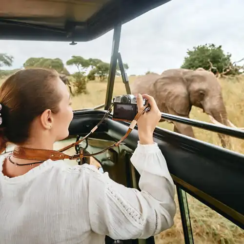 Tourist Girl at Sharjah Safari Park - Travel Agency in Sharjah - Hala Arabia Travel & Tourism